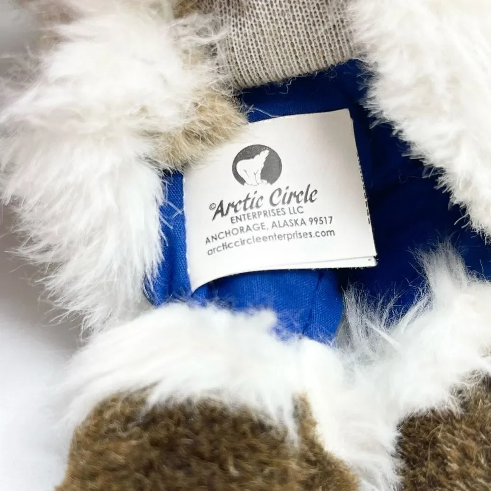 Arctic Circle preowned good